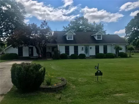252 Meadowood Ave, Winfield, AL 35594