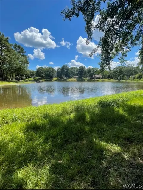 1063 Tanglewood Dr, Reform, AL 35481