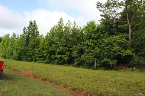 000 Highway 13 N, Bankston, AL 35542
