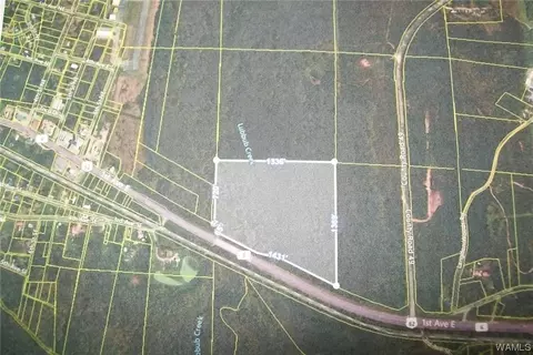 0 1st Ave E, Reform, AL 35481 photo 2