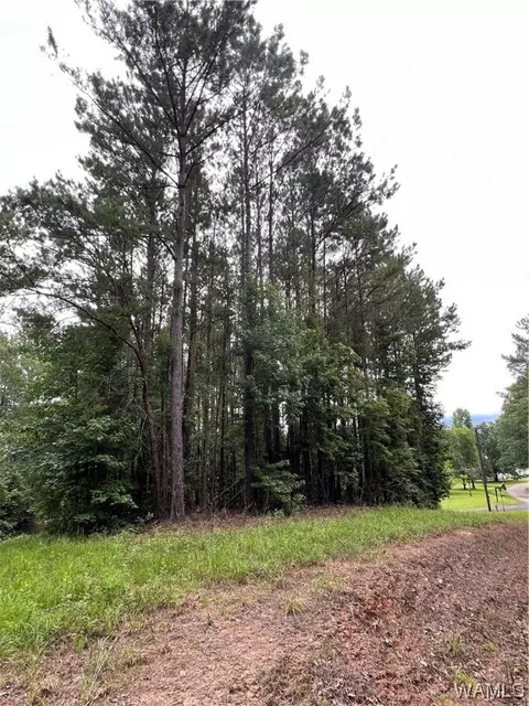 00 Mountain View Dr, Northport, AL 35475