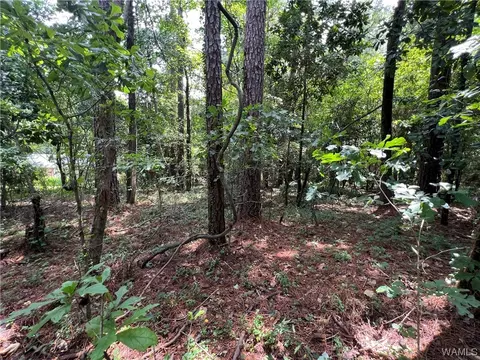 4905 Leland Rd, Northport, AL 35473