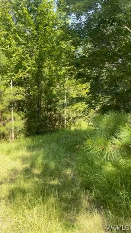 128 Hicks Ln, Bessemer, AL 35023