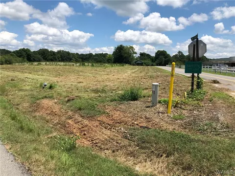 00 Hwy 171 Hwy, Fayette, AL 35555