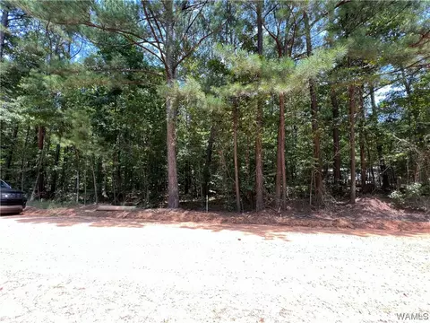 Lot 23 Ann Marie Drive, Lake View, AL 35111