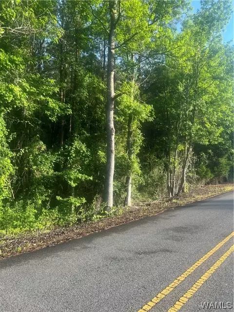 13275 Grands Creek Rd, Foster, AL 35463