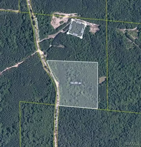 11460 Backbone Church Rd, Gordo, AL 35466