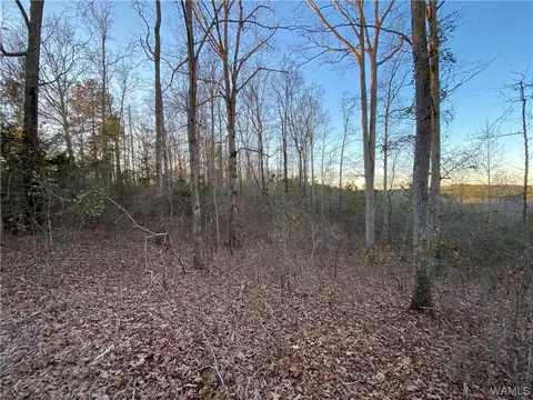 1 Harless Rd, Northport, AL 35475