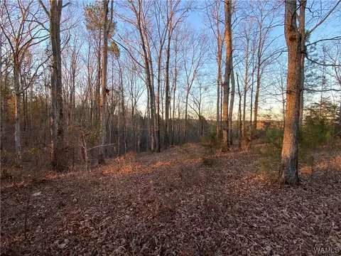 3 Harless Rd, Northport, AL 35475