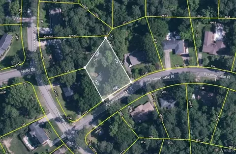 3320 Pyramid Lake Pl, Northport, AL 35473