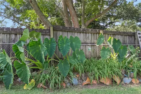 1600 60th Ave E, Cottondale, AL 35453 photo 5