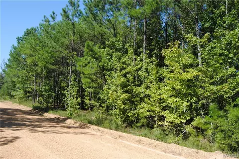 00 Little Hope Cir, Fayette, AL 35555