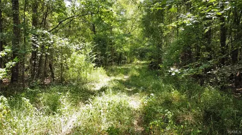 000 Highway 43 N, Linden, AL 36748