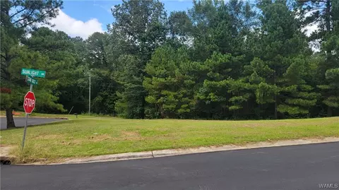 9881 Star Dust Dr, Tuscaloosa, AL 35405