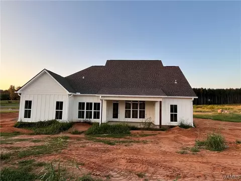 11642 Meadows Rd, Berry, AL 35546 photo 18