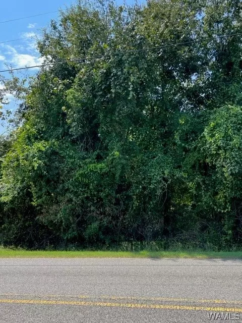 0 Long Meadow Dr, Cottondale, AL 35453