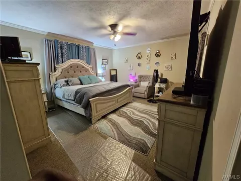 205 Acker Rd, Forkland, AL 36740 photo 17