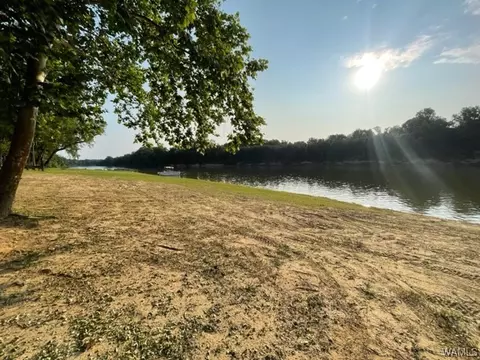 409 Riverview Beach Rd, Moundville, AL 35474