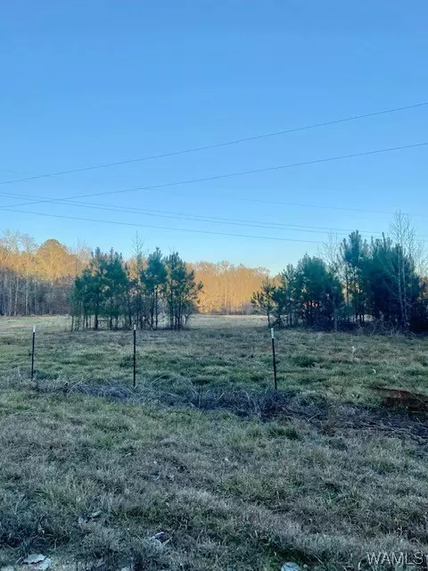 00 Kristy Ln, Fosters, AL 35463