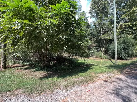 16206 Southbrook Loop, Brookwood, AL 35444