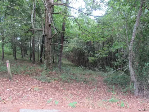 00 Graceland Rd, Northport, AL 35475
