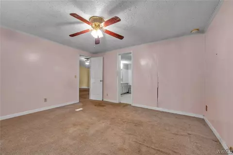 20652 Sandy Dr, Mc Calla, AL 35111 photo 17