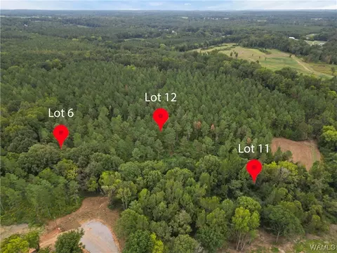 12 County Road 21, Moundville, AL 35474