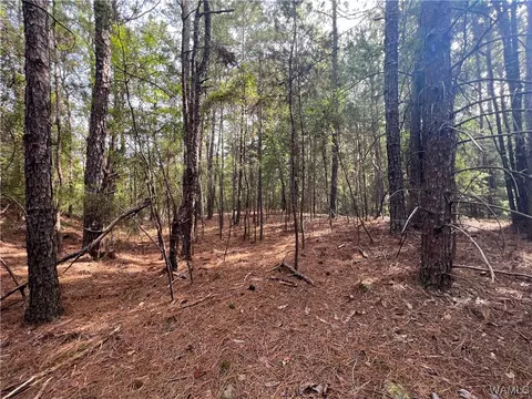 00 Chigger Ridge Rd, Brookwood, AL 35444