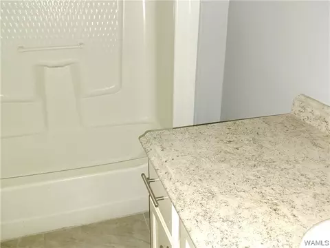 13381 Parson Dr, Vance, AL 35490 photo 19