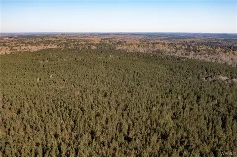 00 Plowman Rd # -A, Gordo, AL 35466