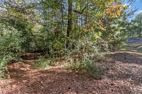 7365 Pineview Ln, Mc Calla, AL 35111 photo 6