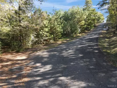 7365 Pineview Ln, Mc Calla, AL 35111 photo 15