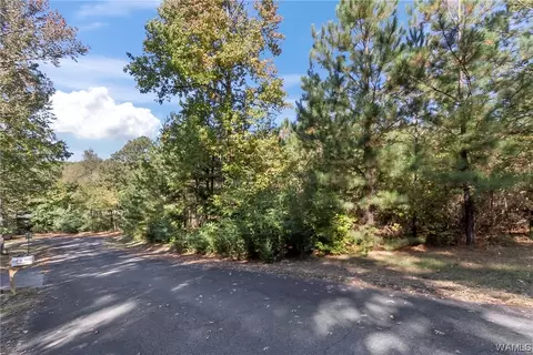 7365 Pineview Ln, Mc Calla, AL 35111 photo 4
