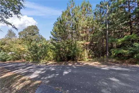 7365 Pineview Ln, Mc Calla, AL 35111 photo 5