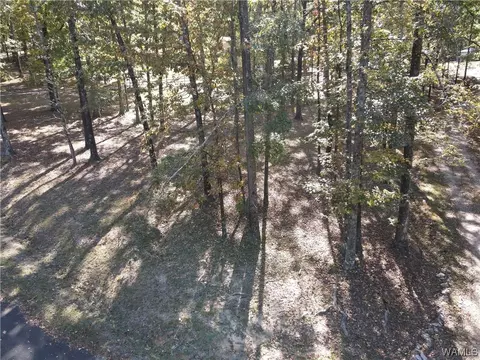 7365 Pineview Ln, Mc Calla, AL 35111 photo 14