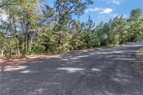 7365 Pineview Ln, Mc Calla, AL 35111 photo 7