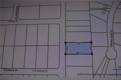 17 Cottonwood Dr, Lake View, AL 35111