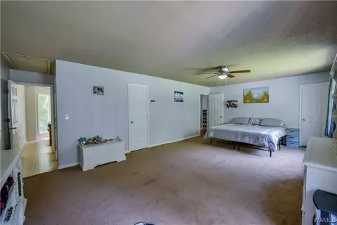 13692 Lucious Rd, Ralph, AL 35480 photo 12