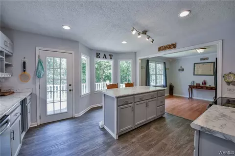 13692 Lucious Rd, Ralph, AL 35480 photo 10