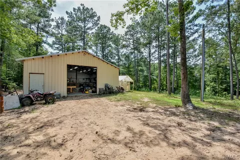 13692 Lucious Rd, Ralph, AL 35480 photo 6