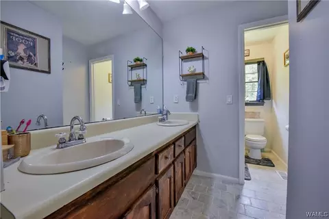 13692 Lucious Rd, Ralph, AL 35480 photo 19