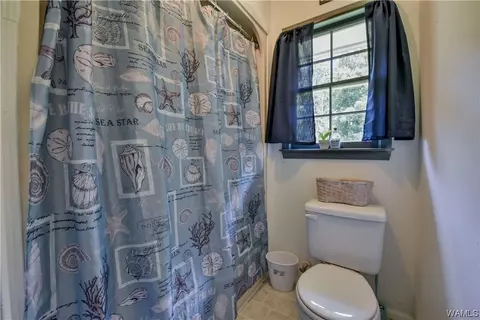 13692 Lucious Rd, Ralph, AL 35480 photo 20