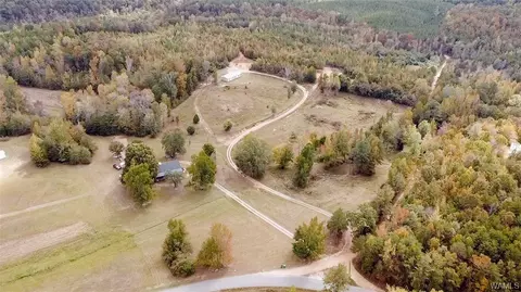 85 Bluewater Cutoff Rd, Berry, AL 35546 photo 4
