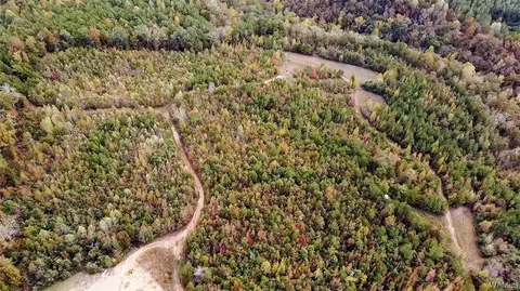 85 Bluewater Cutoff Rd, Berry, AL 35546 photo 33