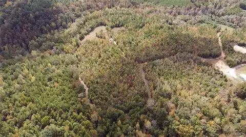 85 Bluewater Cutoff Rd, Berry, AL 35546 photo 32