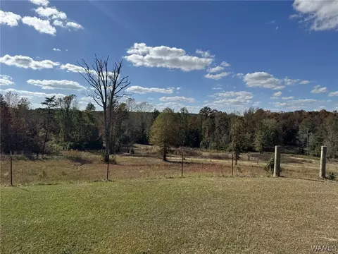 85 Bluewater Cutoff Rd, Berry, AL 35546 photo 5