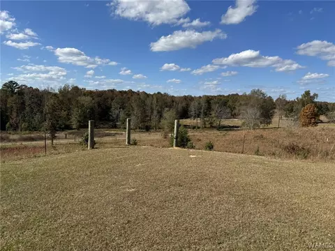 85 Bluewater Cutoff Rd, Berry, AL 35546 photo 7
