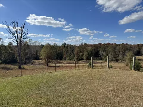 85 Bluewater Cutoff Rd, Berry, AL 35546 photo 6