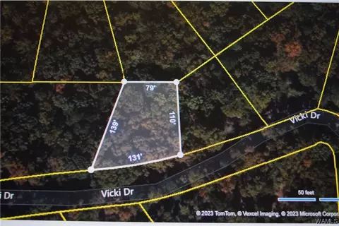 000 Vicki Dr, Lake View, AL 35111