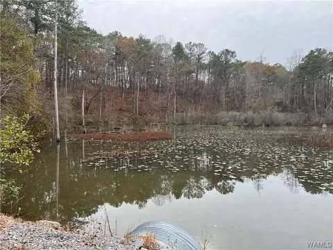 0 Bluegill Ln, Mc Calla, AL 35111